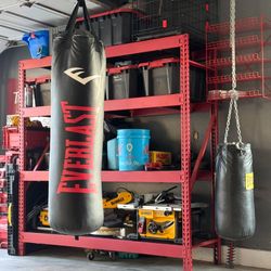 Everlast Punching Bag
