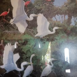 Cuadro De Flamingos $15