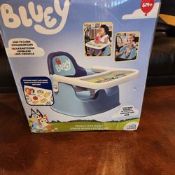 Bluey Meal Time Tray