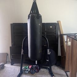 Everlast freestanding punching bag