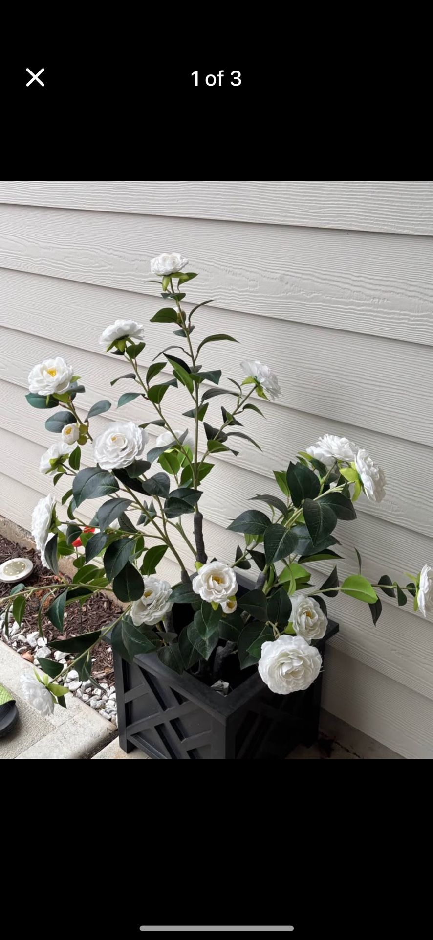 Artificial Rose Plants