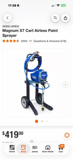 Paint Sprayer with Tip Extension