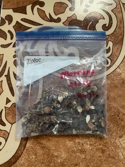Morning glory seeds