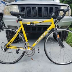 Giant Road Bike 