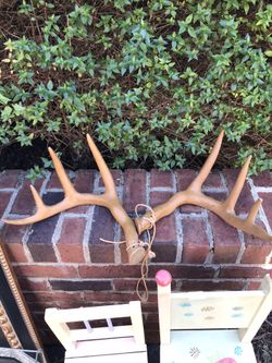 Primos Rattling Antler