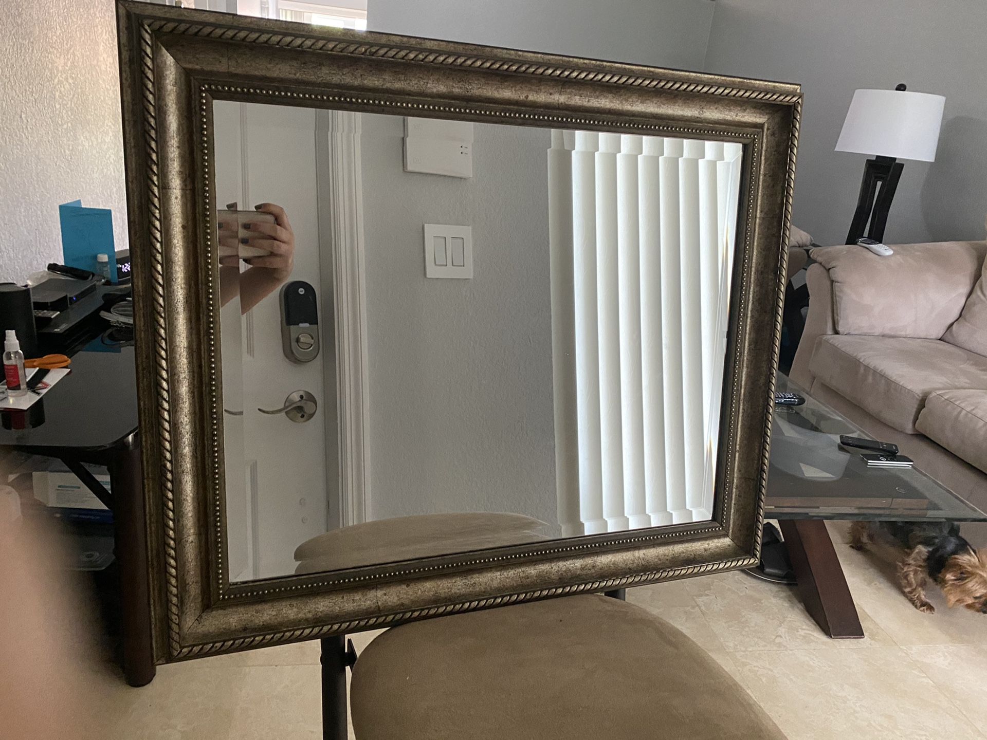 Wall Mirror 24x20