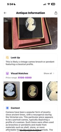 Pony Tailed Girl In Cameo