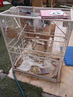 LARGE BIRD CAGE