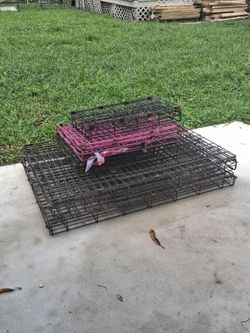 5 dog cages