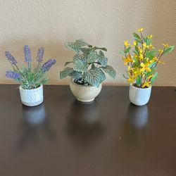 Fake Plants 