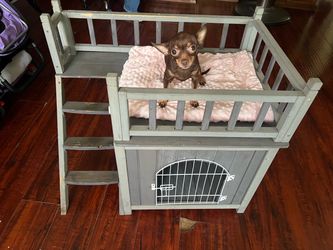 Little Dog House