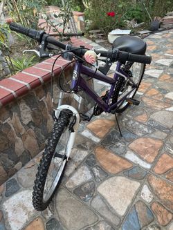 Roadmaster Mountain Bike