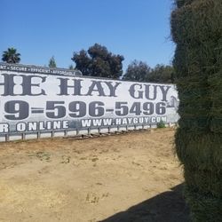 Alfalfa hay 