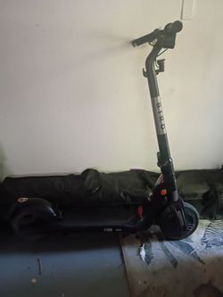 Electric bird scooter
