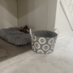 Dog Toy Basket 