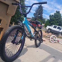 20 Inch Costom BMX Bike