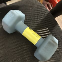 10pound dumbbell 
