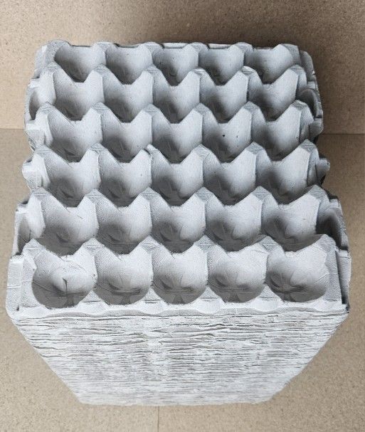 50 Egg Flats