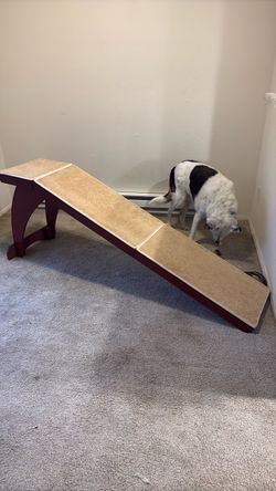 Pet ramp