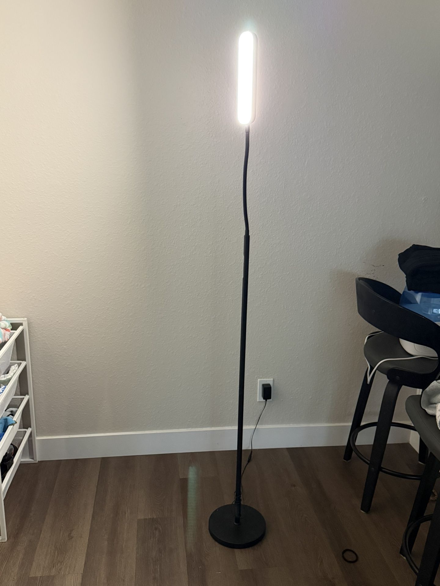 LED Floor Lamp