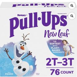 New Leaf Boys' Disney Frozen Training Pants - 2T-3T - 76ct