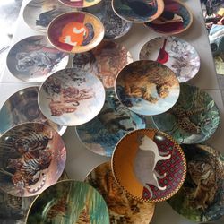 China Porcelain Plates 