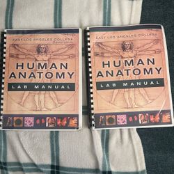 Human Anatomy