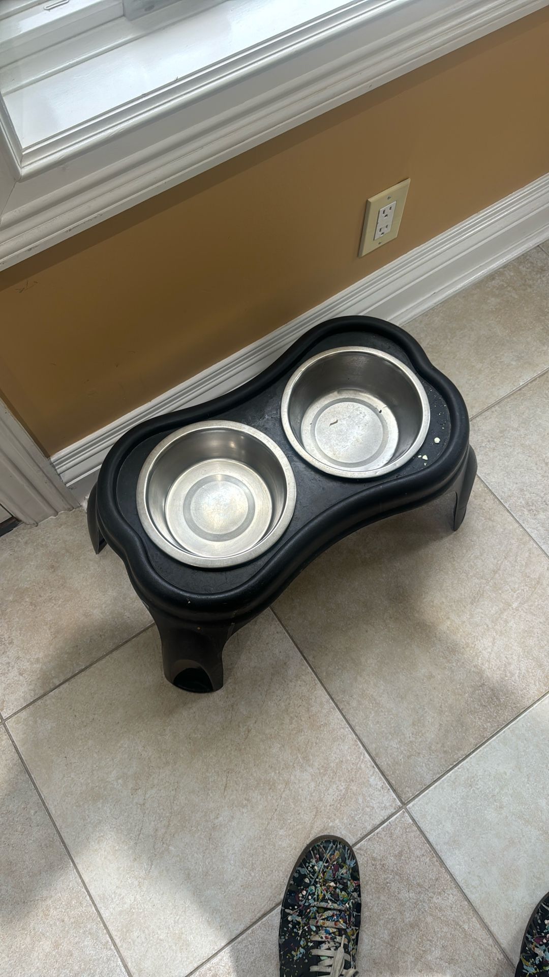 Dog Bowl 