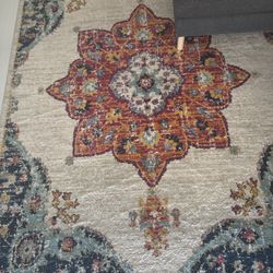 8 x 10 Area Rug