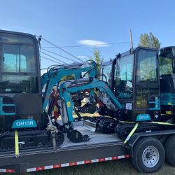 Mini Excavator / Excavadora