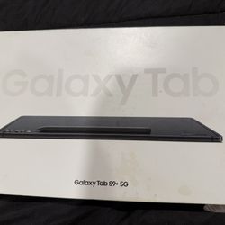 Vendo O Cambio Tablet Samsung S9 Plus Wifi + 5G 256GB Como Nueva 