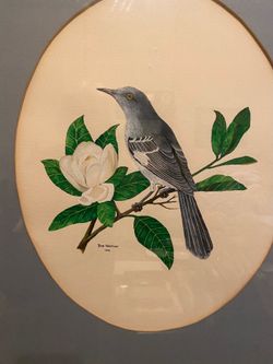 Vintage Bob Wheatley - Northern Mocking Bird