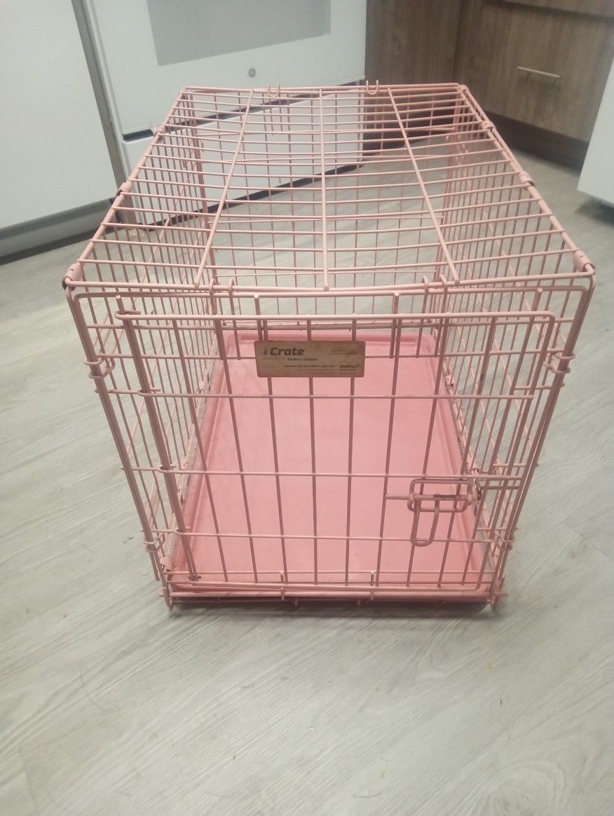 Pink Dog cage