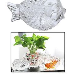 Large Fish Shaped Cocktail Glassware Ornament Glass Cup Glasses Clear Drinks, Vases of Hydroponic Plants,