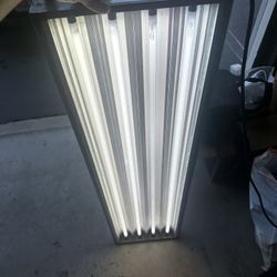 T5 Grow Light