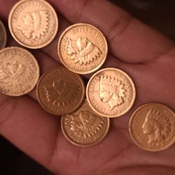 8 indian head penny 