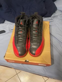 Jordan 12 flu game