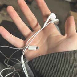 Apple Headphone (NEVER USED)