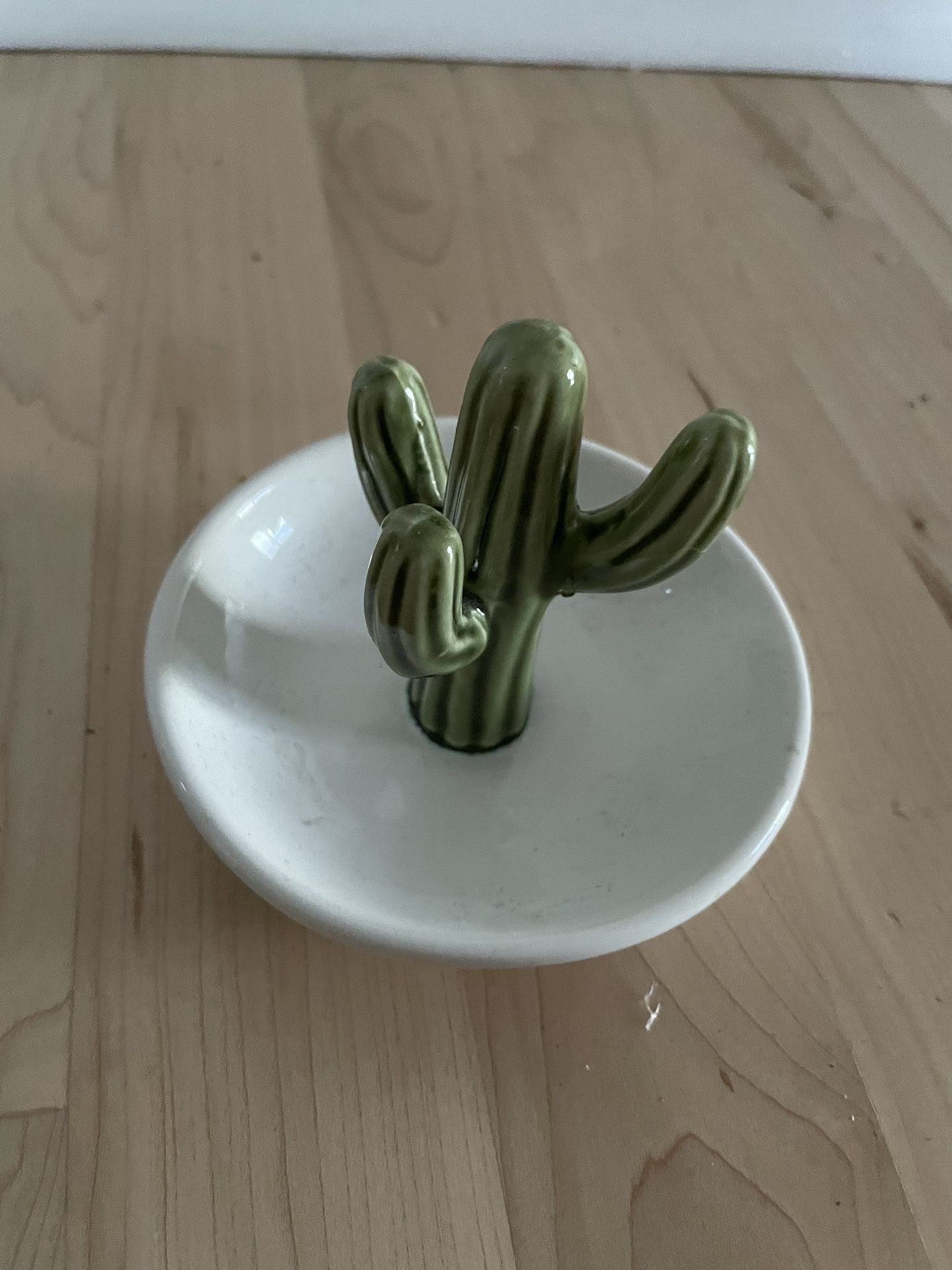 Cactus Ring Holder