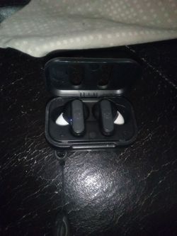 Skull Candy Ear Bugs 