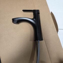Exclusive

MOEN
Findlay Single-Handle Single-Hole Bathroom Faucet in Matte Black