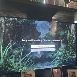 Roku Tv