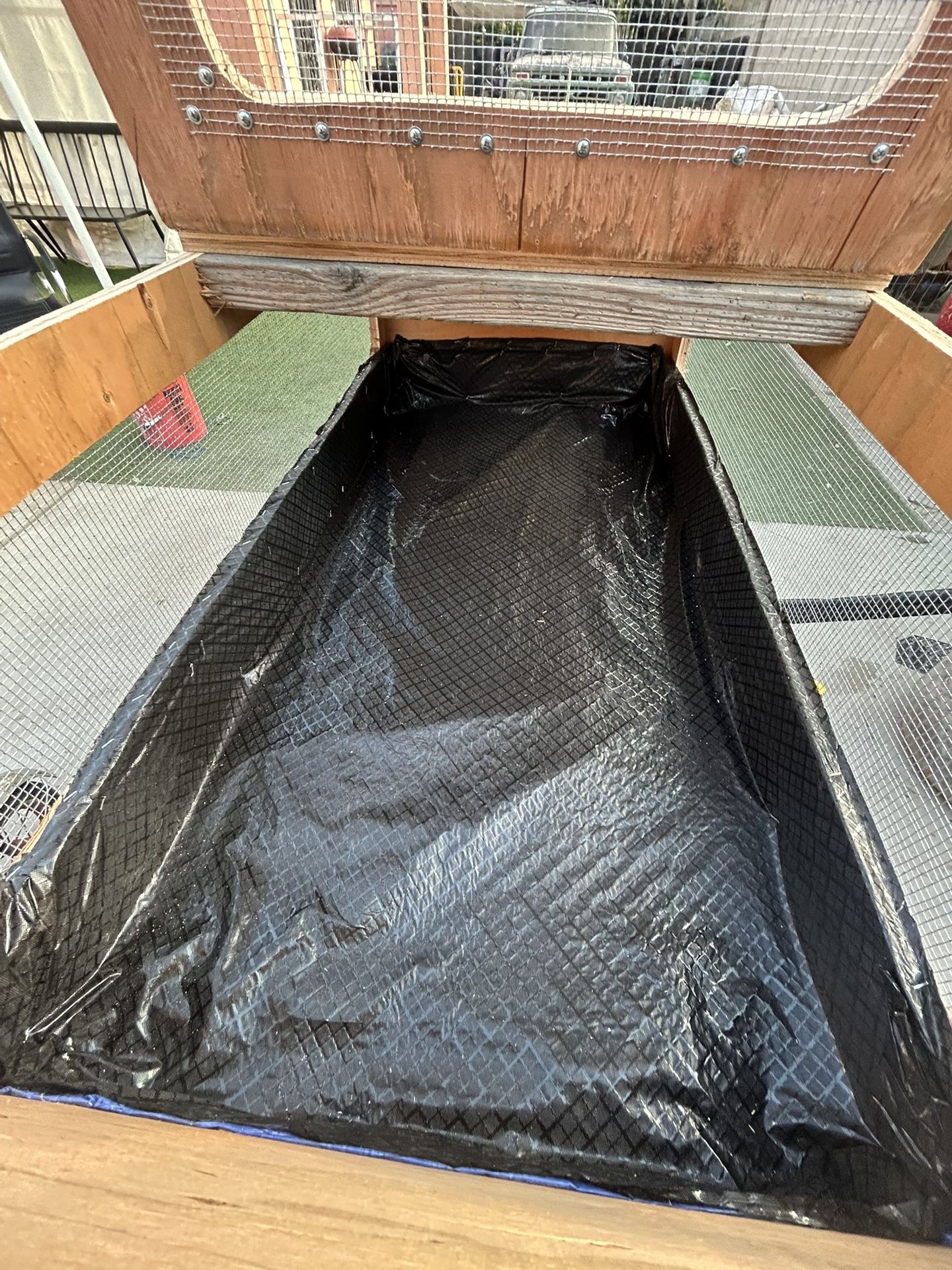 Zero Bearded Dragon Toys Send Offers