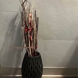 Decorative Plant