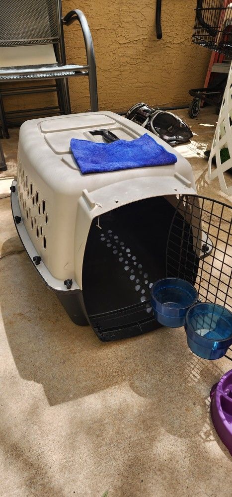 Dog House