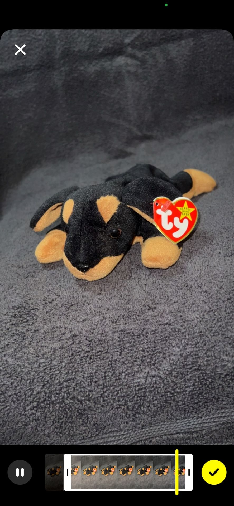 Beanie Baby