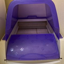 Free Scoopfree Self-Cleaning Cat Litter Box When You Buy 4x  Crystal Cat Litter Tray Refills