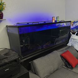 180 gallon fish tank