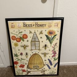 Framed Puzzles