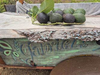 Av🥑cado Organic Hass / Hachiya & Fuyu Persimmons
